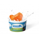 Glace Saumon / Carotte - Pot 90ml